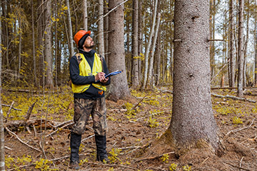 Formal Tree Assessment