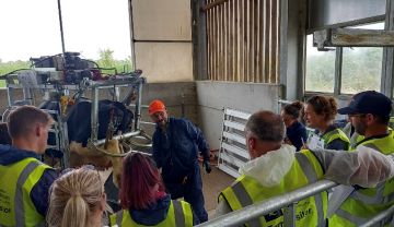 Intermediate Foot Trimming (IFT)