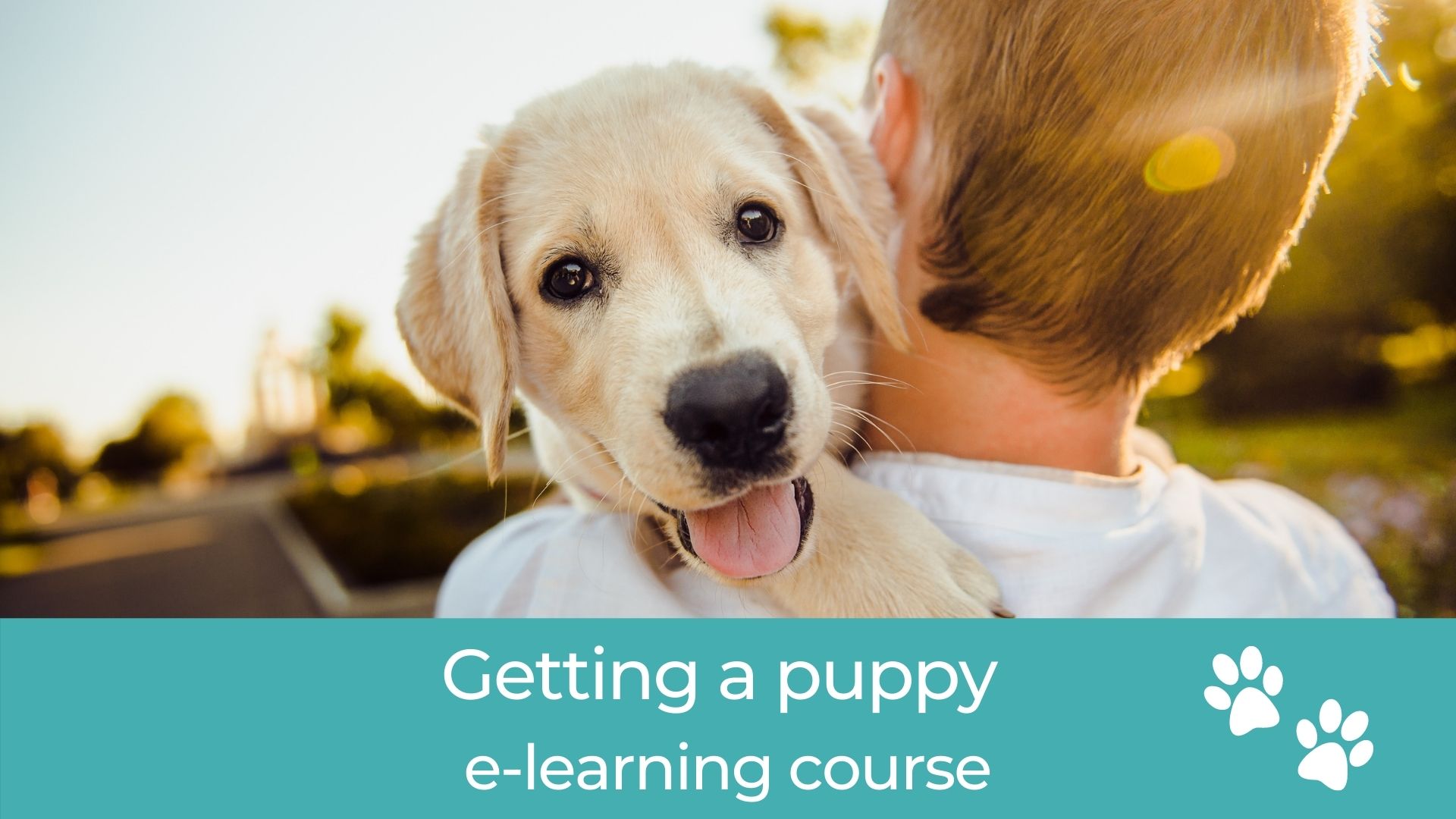 Getting a Puppy (E-Learning)