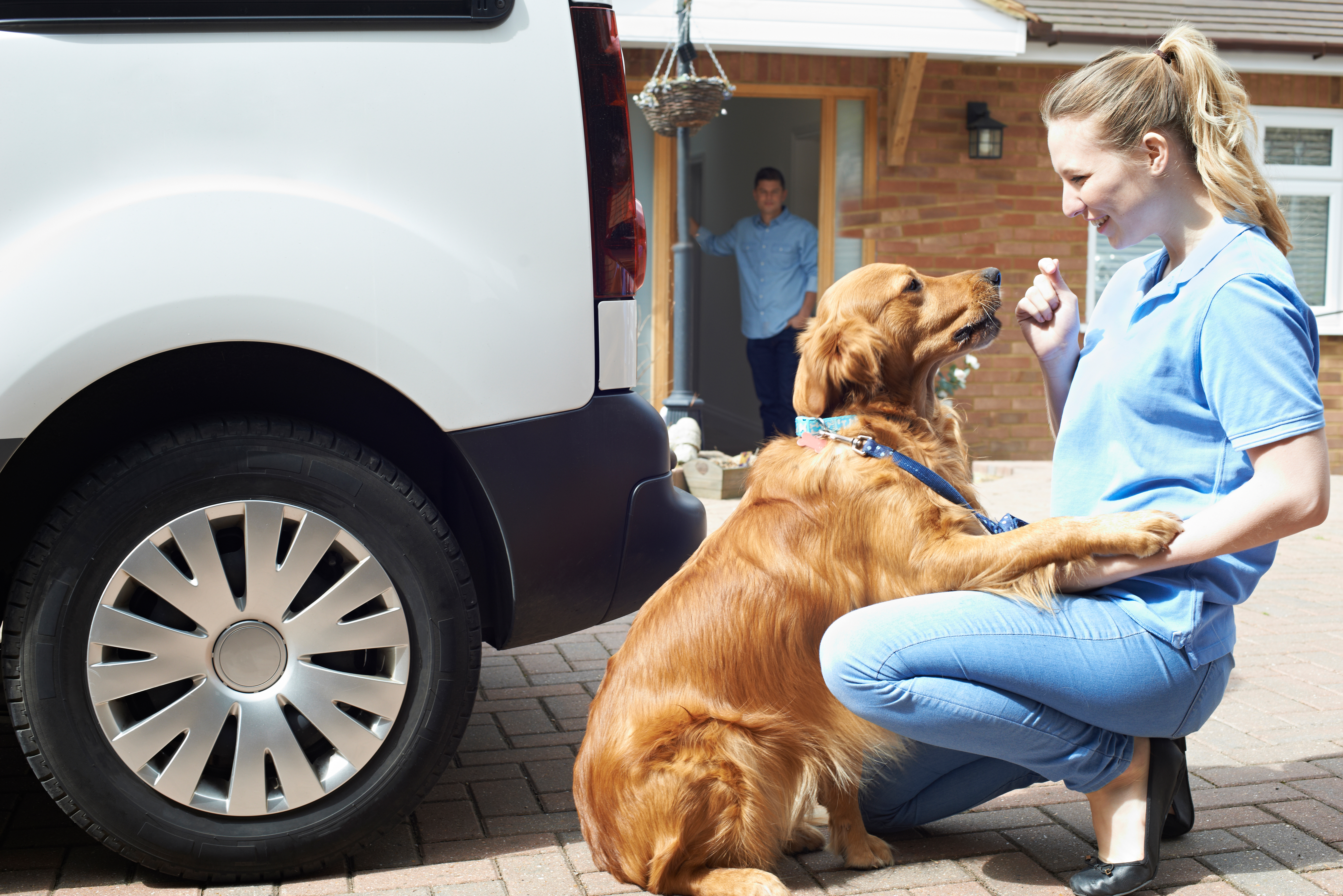 Transport of Dogs for Pet Professionals (non-members - PIF) (E-Learning)