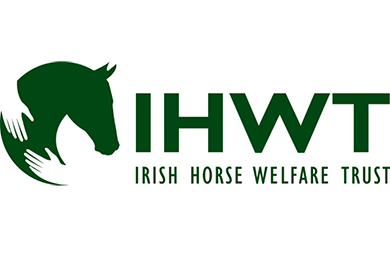Horse Care and Welfare Online