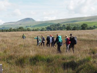 Peatland Restoration Practitioner