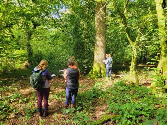 Understanding Woodlands and Woodland Management