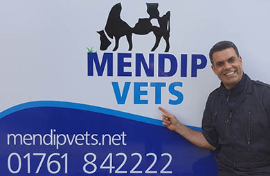 Mendip Vets Calf Management, Health and Housing Course